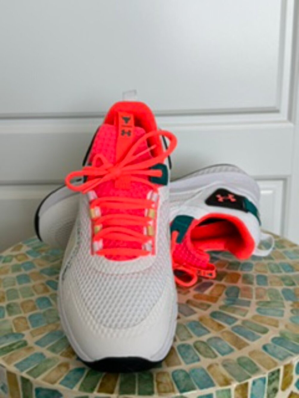 Under Armour Project Rock shoes